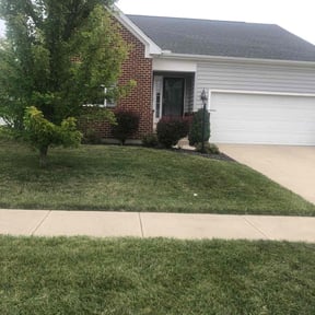 lawn care by Savage lawns reviewed on May 13, 2024