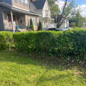 Bush Trimming by Daddy daughter lawn care and handyman services reviewed on May 3, 2026