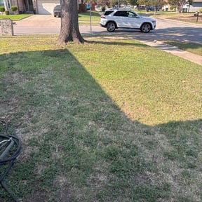 Leaf Removal by Heart of Texas Exterior Renovations reviewed on September 12, 2025