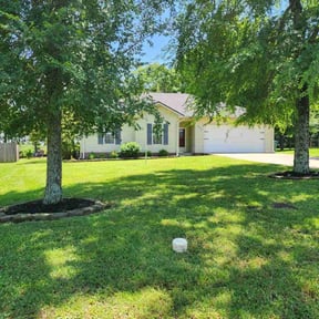 landscaping by Tennessee Turf reviewed on August 20, 2025
