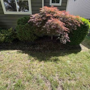 Flower Bed Weeding by BG landscaping reviewed on May 29, 2026
