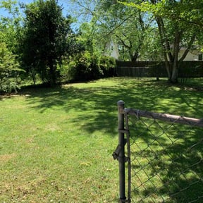 yard care by A Step Above Lawn Care LLC reviewed on August 20, 2025
