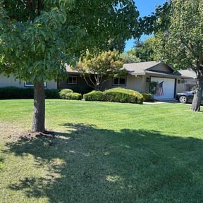 lawn care by SacTown Clean Green Services LLC reviewed on August 21, 2025