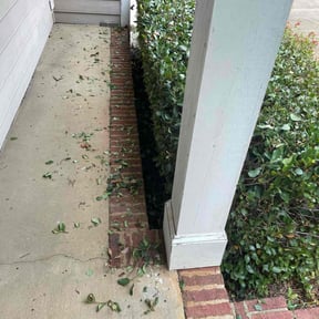 Bush Trimming by Starnes Lawn Care reviewed on August 20, 2025