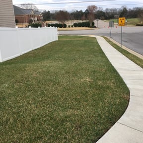 Leaf Removal by 281 Handyman &amp; Lawn Care reviewed on September 28, 2025