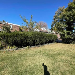 Bush Trimming by Yard Dr. LLC reviewed on August 18, 2025