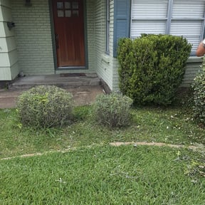 Bush Trimming by A Lawns Love Landscaping reviewed on August 18, 2025