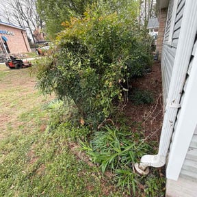 Leaf Removal by Otero's lawnmower reviewed on March 20, 2026