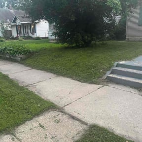 Bush Trimming by Transit LLC reviewed on August 16, 2025