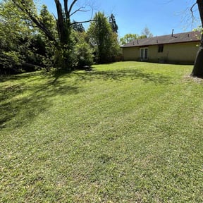 landscaping services by Juana's Botanical Landscaping reviewed on August 18, 2025