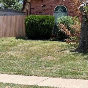 Bush Trimming by Twin oaks landscaping & maintenance reviewed on August 15, 2025