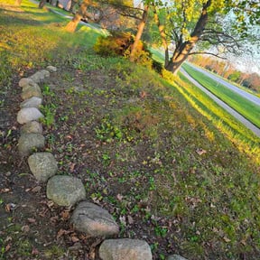 Leaf Removal by Rjm reviewed on September 16, 2026