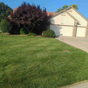 landscaping services by Lozano's lawn care service reviewed on August 16, 2025
