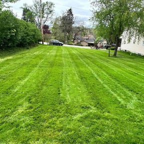 landscaping by Restomotion reviewed on August 20, 2025