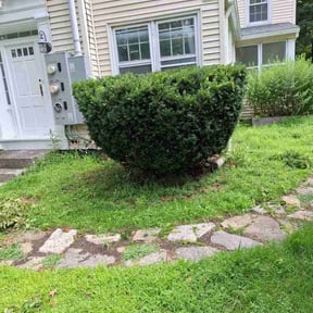 Bush Trimming by Totolapan Lawn care reviewed on July 31, 2026
