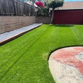 yard maintenance by Orlies Evergreen Lawn+ reviewed on August 18, 2025