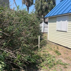 Bush Trimming by Cutting Under Pressure reviewed on October 24, 2025