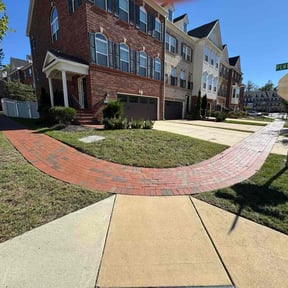 Bush Trimming by Rogelios reviewed on May 18, 2022