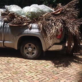Bush Trimming by The Green Earth Lawn Care reviewed on August 21, 2025