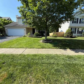 yard care by New world order llc (Four seasons Lawn Care N More) reviewed on August 21, 2025