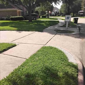 landscaping services by Triple "s" services reviewed on December 25, 2025