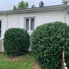 Bush Trimming by AG lawn service reviewed on August 15, 2025
