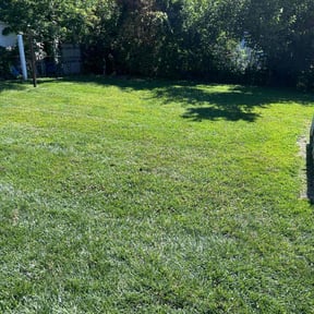 yard service by Trip reviewed on August 18, 2025