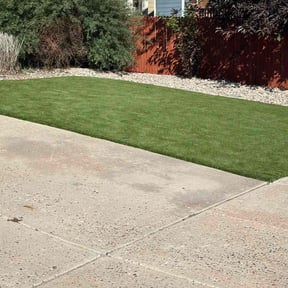 yard maintenance by Pro-champey,llc reviewed on August 17, 2025
