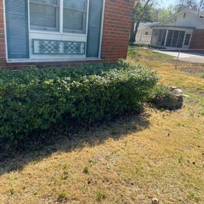 Bush Trimming by Krenik lawn services reviewed on August 18, 2025