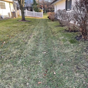 Leaf Removal by Ceaser landscaping. reviewed on September 10, 2025