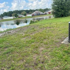 Bush Trimming by Mr. Urban Express Enterprises reviewed on October 19, 2025