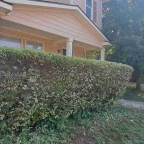 Bush Trimming by S&amp;S Landscaping reviewed on April 2, 2024