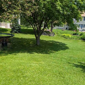 yard service by Nathaniel  Wright reviewed on August 18, 2025