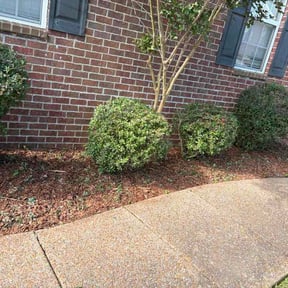 Flower Bed Weeding by Clouse Landscaping reviewed on May 3, 2026