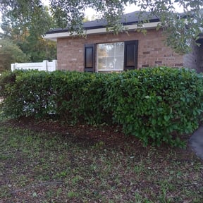 Bush Trimming by Green landscaping LLc reviewed on August 18, 2025