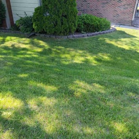 turf maintenance by Kevin&#039;s Lawn Service reviewed on May 24, 2025