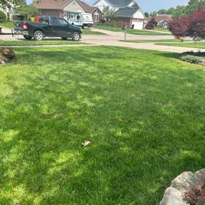 landscape maintenance by Paramount Professional Services reviewed on August 17, 2025