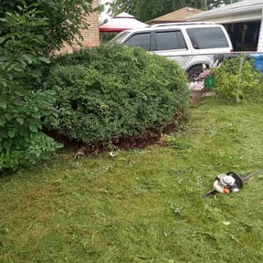 Bush Trimming by One yard at a time reviewed on August 21, 2025