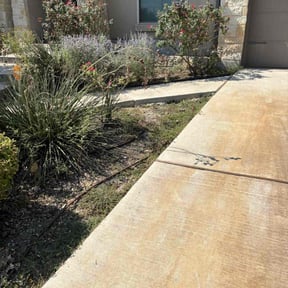 Bush Trimming by Willie&#039;s Mobile Lawn Services reviewed on November 24, 2025