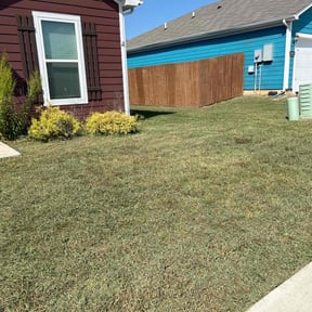 turf care by Millionaire Lawn Care reviewed on June 29, 2025