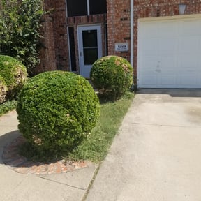 Bush Trimming by Luxury Home Services reviewed on August 18, 2025