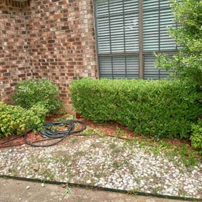 Bush Trimming by Your Next Cut Lawn Services reviewed on August 17, 2025
