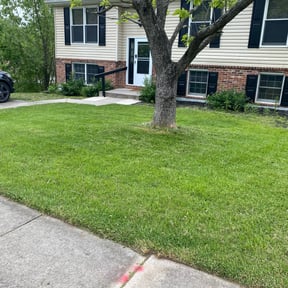 residential landscaping by FRAMPTON'S LAWN SERVICE reviewed on August 16, 2025