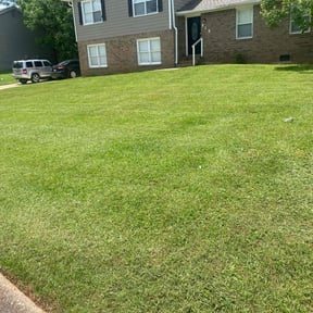 turf care by Certified Lawn Pro&#039;s reviewed on July 19, 2023