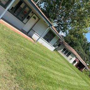 Bush Trimming by Dallas Enterprise LLC Lawn Care Services reviewed on August 16, 2025