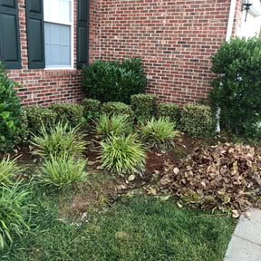 Bush Trimming by HRC lawncare reviewed on August 16, 2025