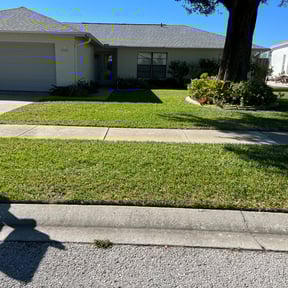 Leaf Removal by Island Life Business Ventures, LLC reviewed on September 11, 2025