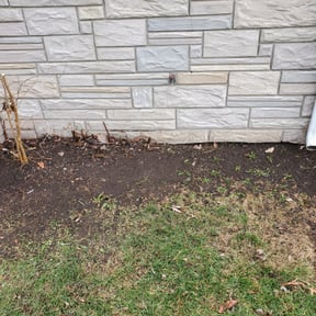 Leaf Removal by S&T OutDoors Solutions reviewed on August 19, 2025