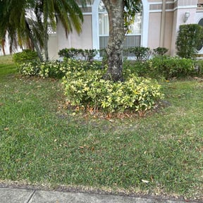 Bush Trimming by Retana Lawnscaping reviewed on August 19, 2025