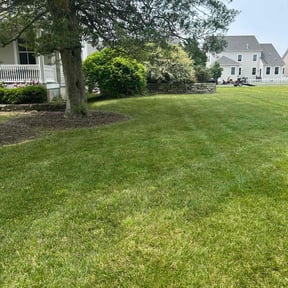 turf care by Ricky’s Litter &amp; Yard Waste Removal LLC reviewed on September 12, 2025